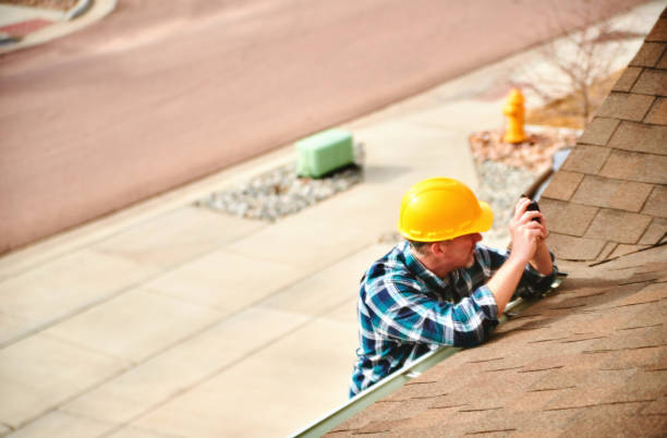 Best Roof Gutter Cleaning  in Woodstock, AL